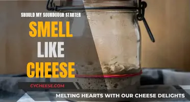 Sourdough Starter: Why That Cheesy Smell is Normal