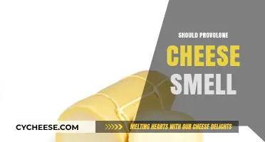 Does Provolone Cheese Smell? Understanding Its Aroma and Freshness