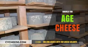 Aging Cheese: Enhancing Flavor or Risky Business?