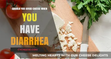 Cheese and Diarrhea: Should You Avoid Dairy During Digestive Upset?