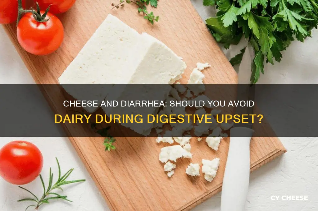 should you avoid cheese when you have diarrhea