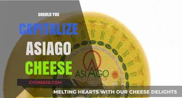 Should Asiago Cheese Be Capitalized? A Grammar and Food Guide
