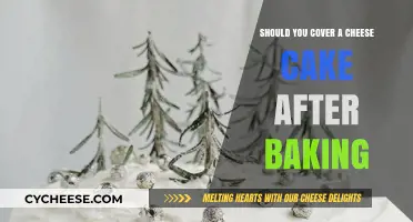 Should You Cover Cheesecake After Baking? Tips for Perfect Storage