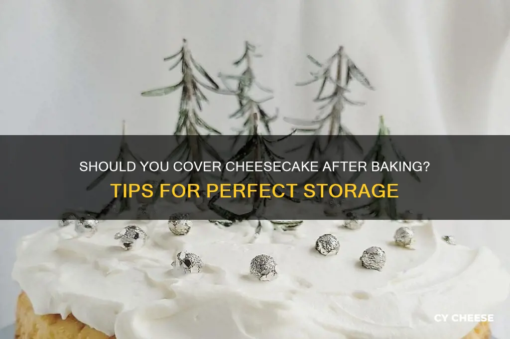 should you cover a cheese cake after baking