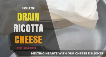 Should You Drain Ricotta Cheese? Tips for Perfect Texture
