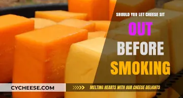 Should You Let Cheese Sit Out Before Smoking?