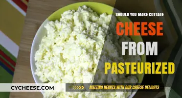 Is Pasteurized Milk Ideal for Homemade Cottage Cheese? Find Out