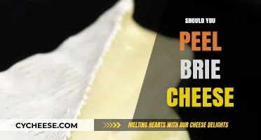 To Peel or Not: The Brie Cheese Rind Dilemma Explained