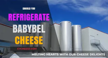 Should You Refrigerate Babybel Cheese? Storage Tips for Freshness