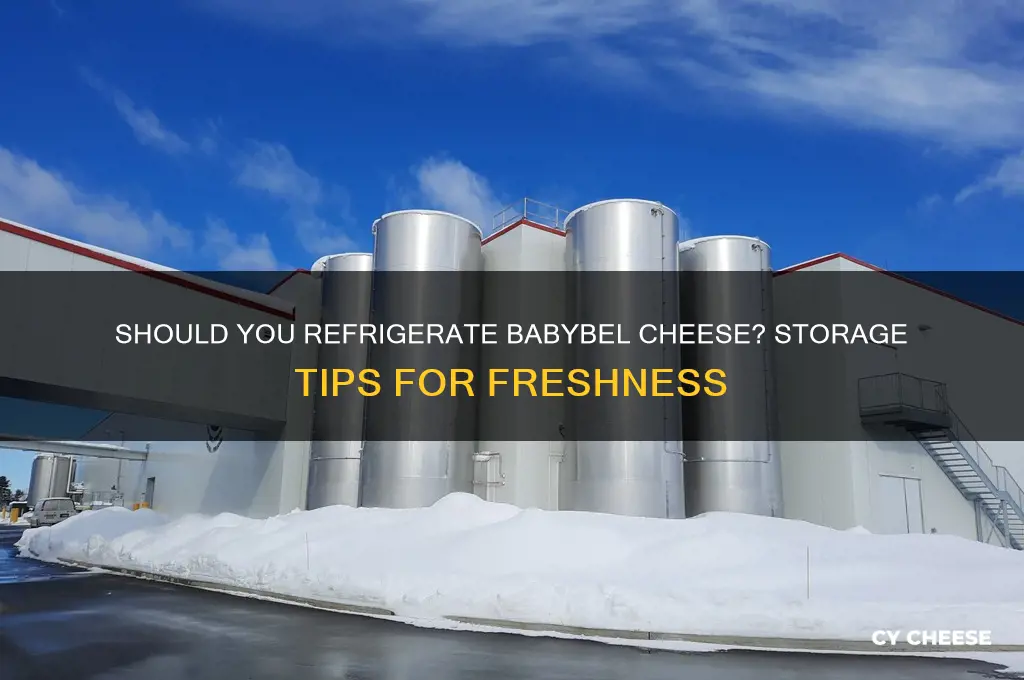 should you refrigerate babybel cheese