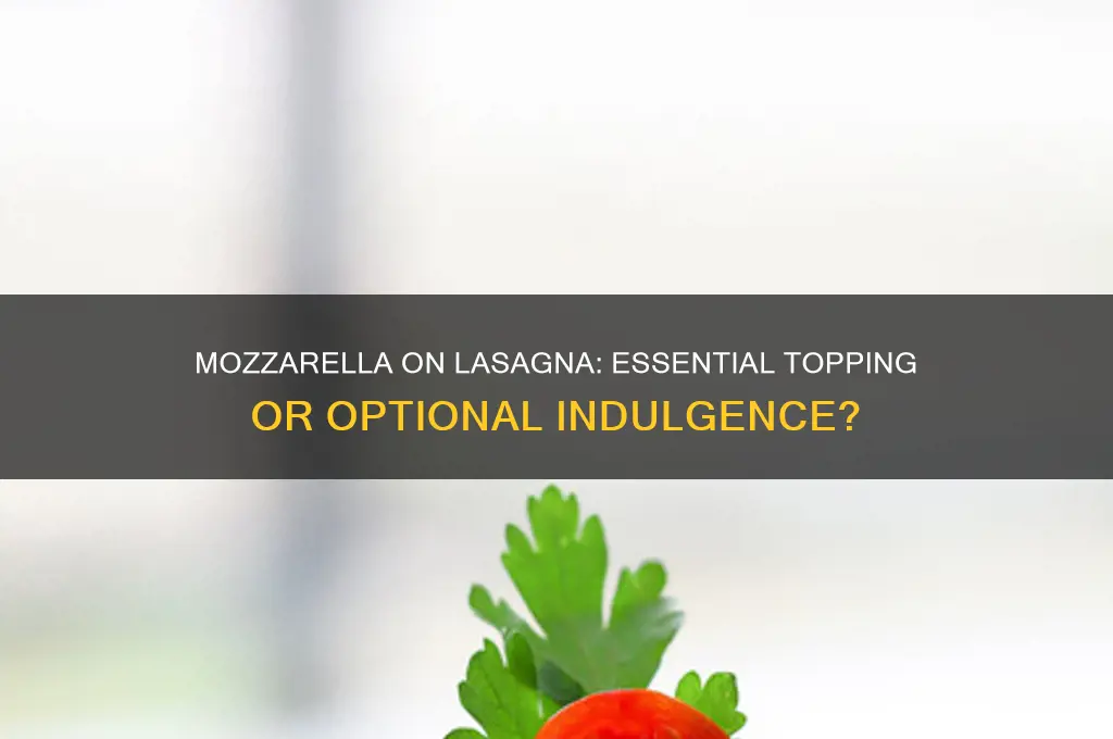 should you top the lasagna with mozzerella cheese