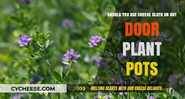 Cheesecloth: Outdoor Plant Pot Protector or Not?