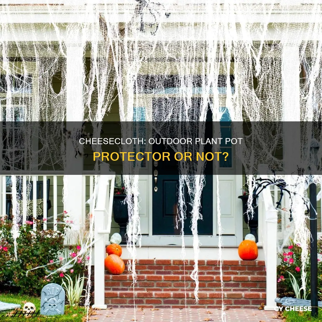 should you use cheese cloth on out door plant pots