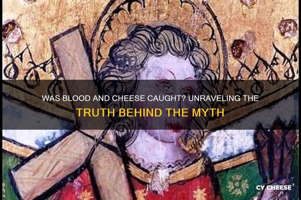 was blood and cheese caught