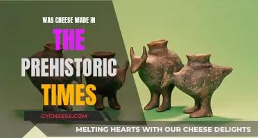 Cheese in Prehistory: A Tasty Ancient Treat?