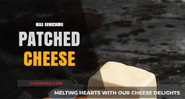 Genichiro Patched Cheese: Debunking the Myth and Exploring the Truth