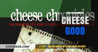 Was Government Cheese Good? A Tasty Trip Down Memory Lane