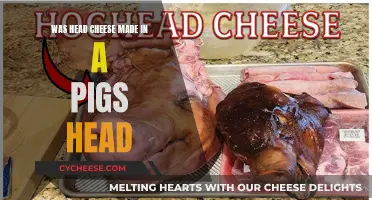 Head Cheese's Historical Origin: A Pig's Head Story