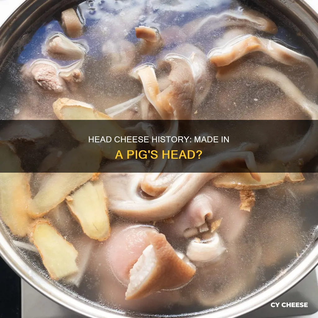 was head cheese made in a pigs head