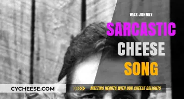 Was Johnny's Sarcastic Cheese Song a Hilarious or Cringeworthy Hit?