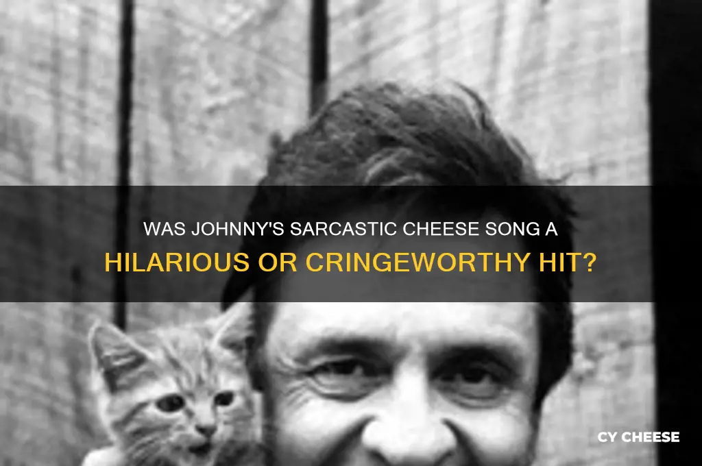 was johnny sarcastic cheese song