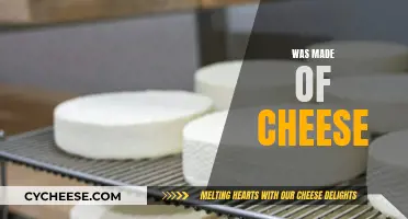 The Surprising Discovery: What Was Made of Cheese?