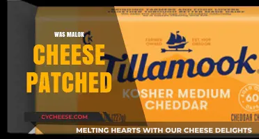 Malok Cheese Patch: What Happened and Why It Matters Now