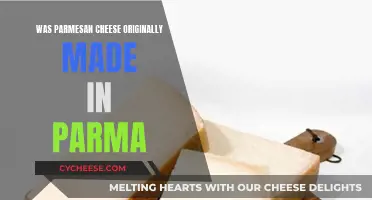The True Origin of Parmesan Cheese