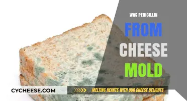 Cheese Mold's Role in Penicillin Discovery: Fact or Fiction?