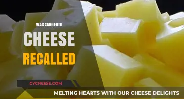 Sargento Cheese Recall: What You Need to Know Now