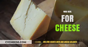 Was Seal Used for Cheese? Unraveling the Historical Connection