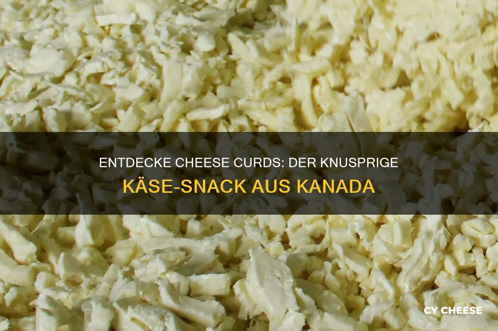 was sind cheese curds