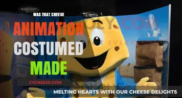 Cheese Animation: Unveiling the Creative Process Behind the Costume