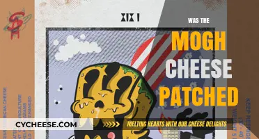 Was the Mogh Cheese Patched? Unraveling the Mystery and Facts