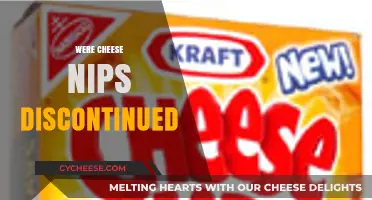 Are Cheese Nips Discontinued? The Truth About This Snack's Status