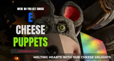 Unusual Places to Find Chuck E Cheese Puppets