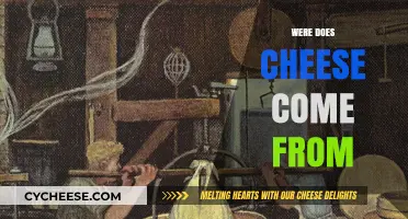 Where Does Cheese Come From? Uncovering the Origins of Dairy's Delight