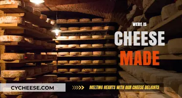 The Global Journey of Cheese: From Farm to Table