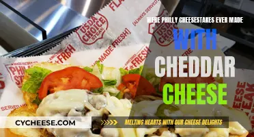 Philly Cheesesteaks: Cheddar or Not?