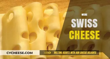 Swiss Cheese: The Mystery of the Holes