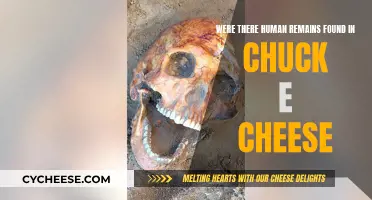 Human Remains in Chuck E. Cheese: Fact or Fiction?