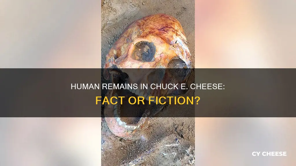 were there human remains found in chuck e cheese