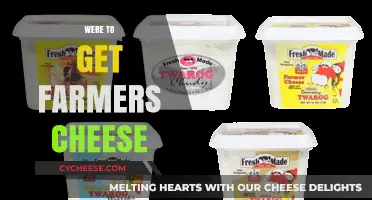 The Best Places to Get Farmer Cheese