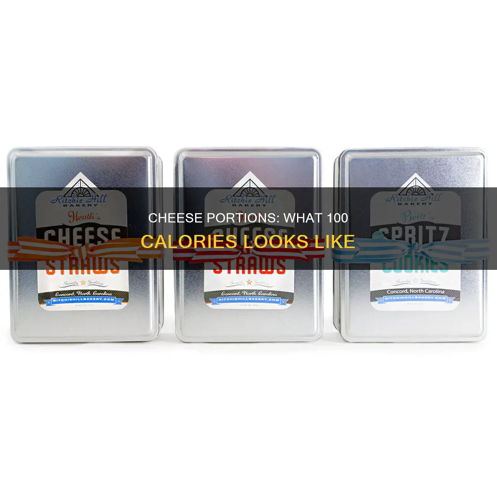 what 100 calories of cheese looks like