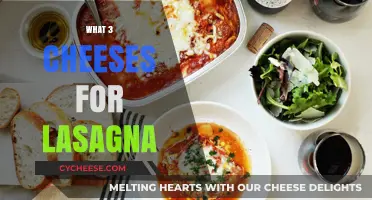 Perfect Lasagna Cheese Trio: Top Picks for Creamy, Melty Layers