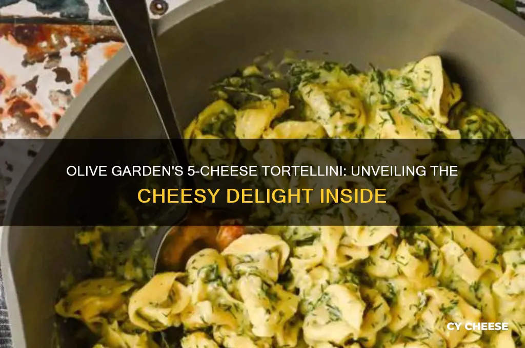 what 5 cheeses in 5 cheese tortellini olive garden