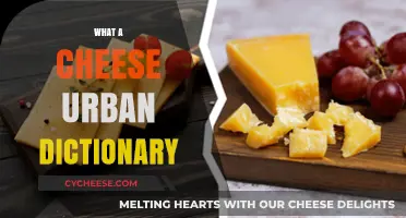 What's the Deal with 'What a Cheese' on Urban Dictionary?