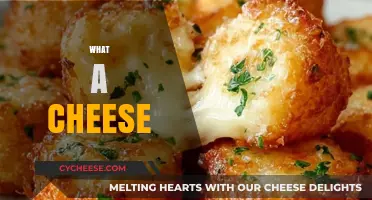 What a Cheese: Unraveling the Magic Behind Every Bite