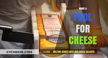 What a Fool for Cheese: My Cheesy Obsession and Why I Love It