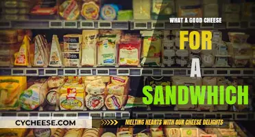 Perfect Sandwich Cheese: Top Picks for Flavor and Texture